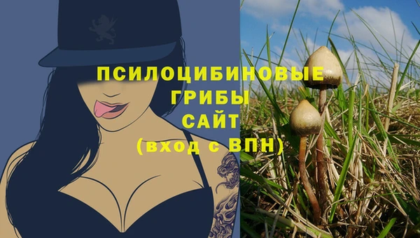 гидропоника Михайловка