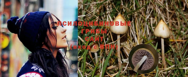трава Михайлов