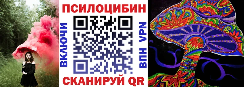 Псилоцибиновые грибы мицелий  Купить где  Жиздра 